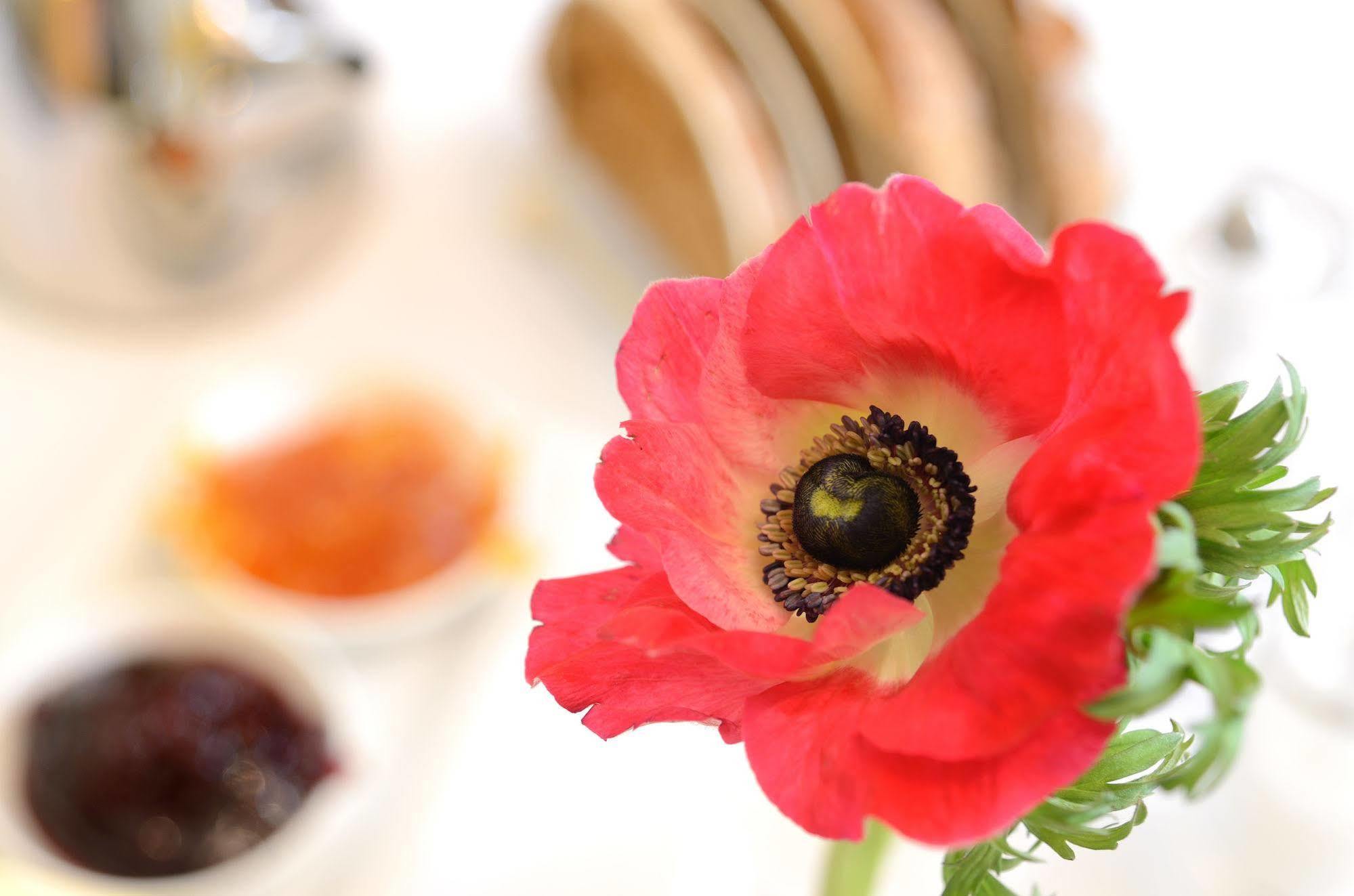 Crosby Bed & Breakfast Пенрит Экстерьер фото